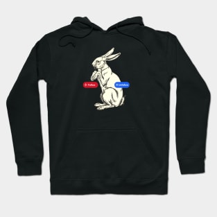 Follow/Unfollow the White Rabbit Hoodie